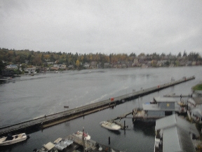 Locks on the way to Seattle, WA